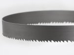 Hojas de sierra de banda 6000 x 41 x 1,3 mm - Hojas de sierra de banda para metal